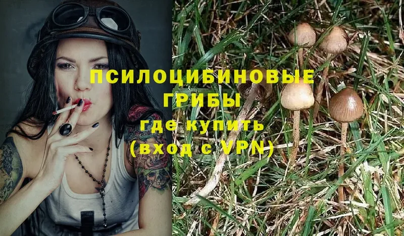 как найти закладки  Красноперекопск  Галлюциногенные грибы Psilocybine cubensis 