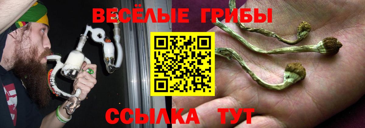 Красноперекопск  Псилоцибиновые грибы Psilocybine cubensis  Вход с VPN  Галлюциногенные грибы Cubensis 