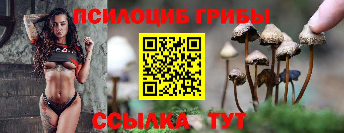 Псилоцибиновые грибы мицелий Красноперекопск